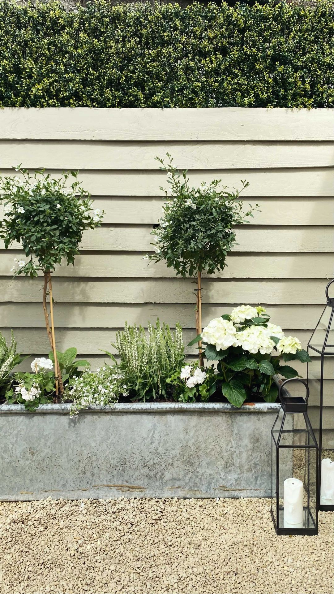 Compact Front Yard: Making the Most of Small Outdoor Spaces