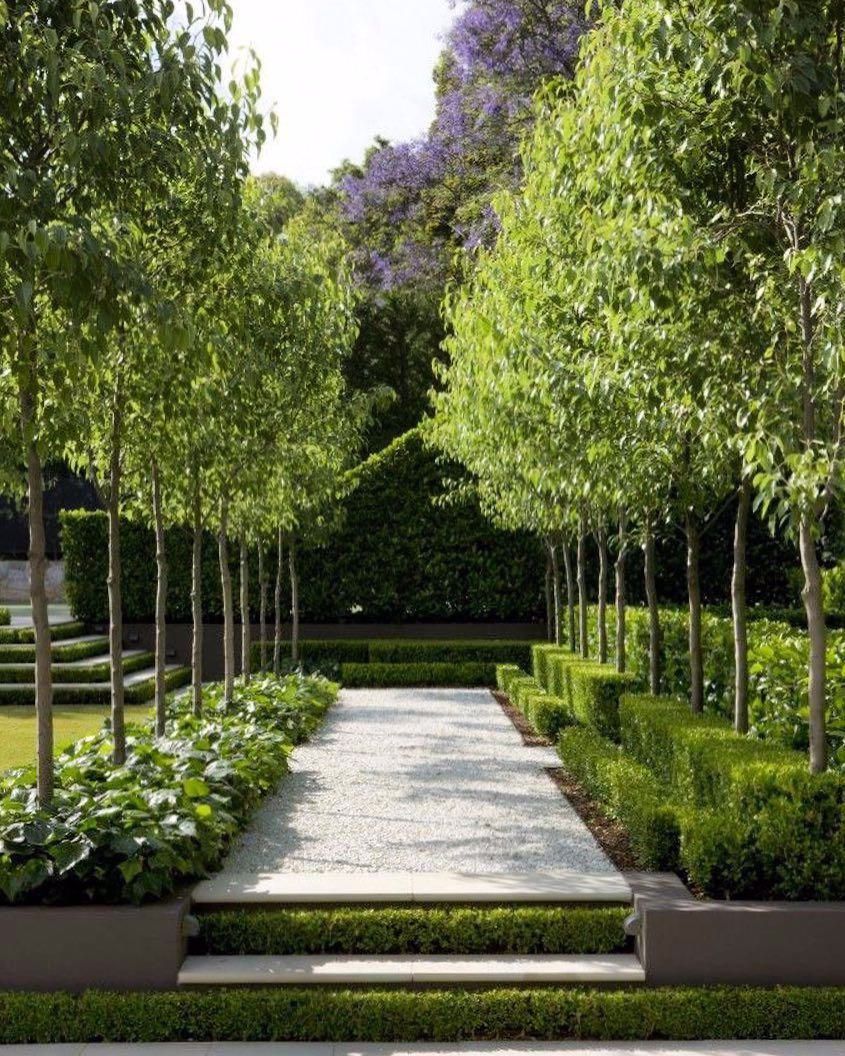 Compact Garden Trees: Adding Charm and Beauty to Small Outdoor Spaces