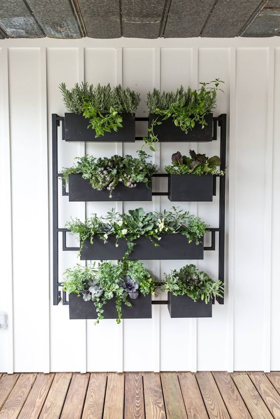 Compact Herb Garden Planter: A Space-Saving Solution for Fresh Herbs