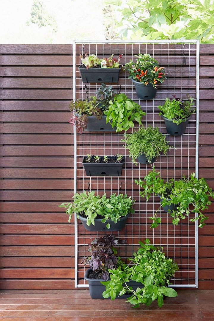 Compact Herb Garden Planter: A Space-Saving Solution for Growing Fresh Herbs
