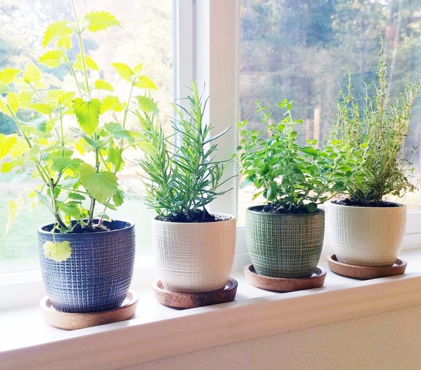 Compact Herb Garden Planter: The Perfect Solution for Limited Space