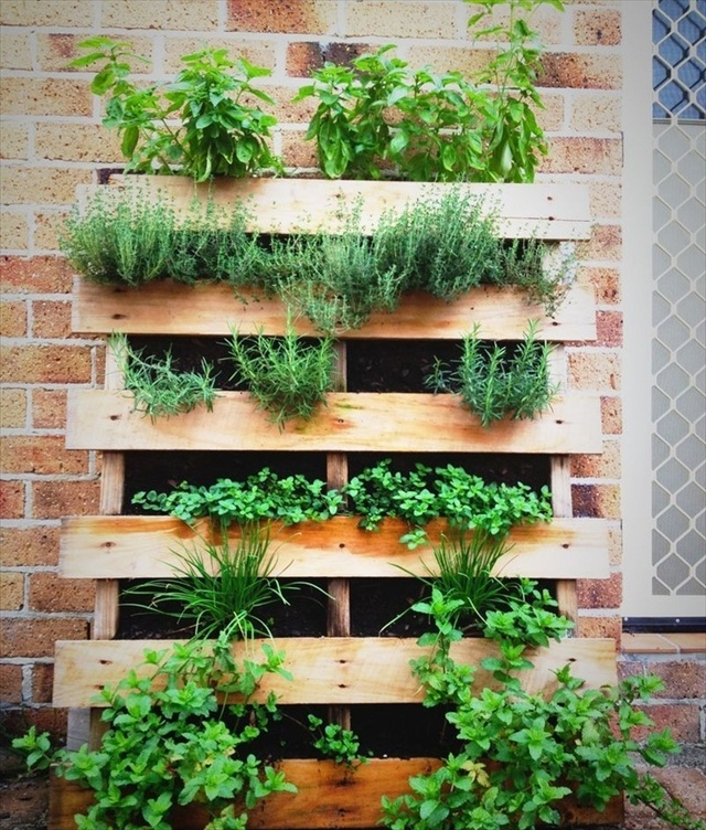 Compact Herb Garden Planter: The Perfect Solution for Urban Gardening