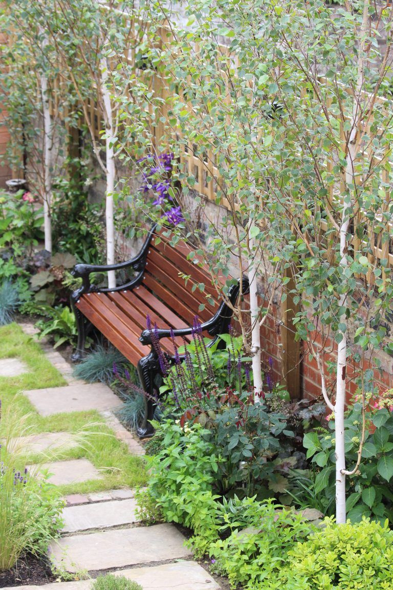 Compact Trees for Cozy Gardens: A Guide to Choosing the Perfect Greenery