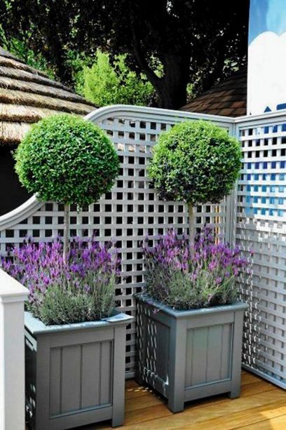 Compact yet charming: Ideas for tiny front gardens