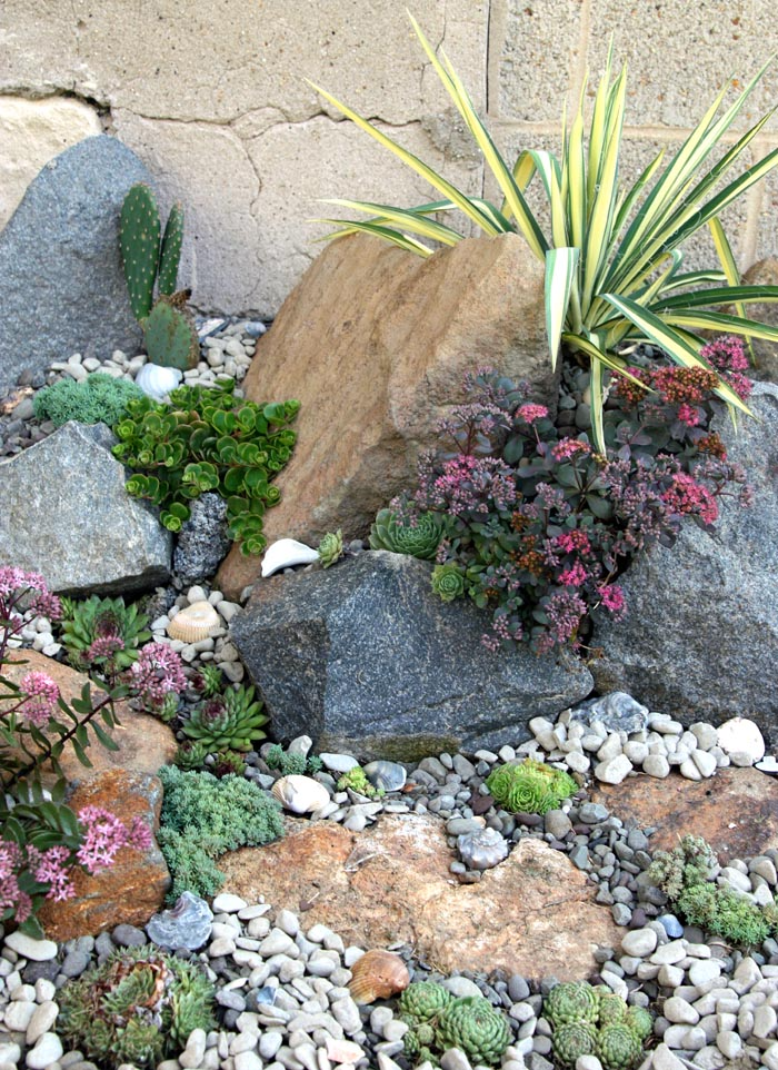 Crafting a Stunning Rock Garden: A Guide to Designing a Breathtaking Outdoor Space
