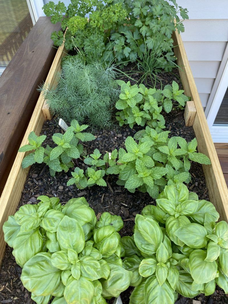 Create Your Own Herb Garden Planter with These DIY Ideas