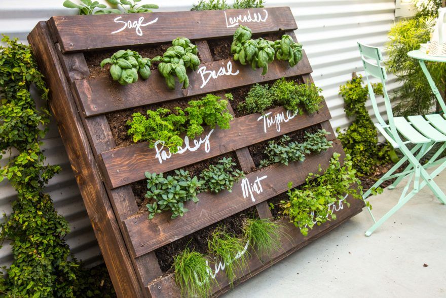 Create Your Own Herb Garden Planter with These DIY Tips