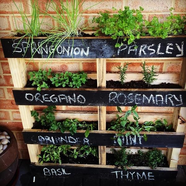 Create Your Own Herb Garden Planter with These Easy DIY Steps