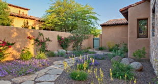 backyard xeriscape ideas