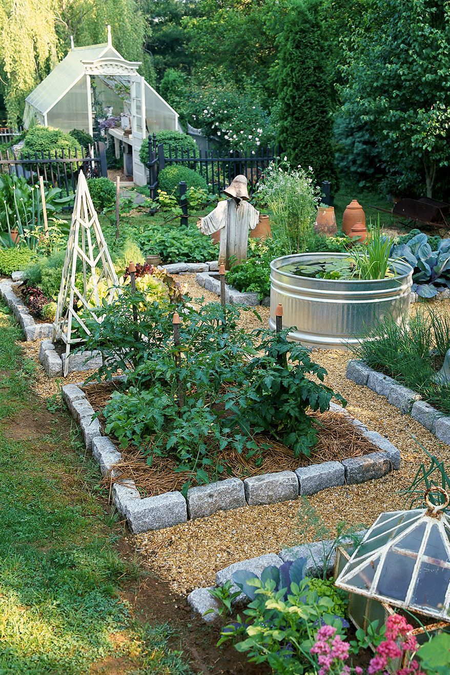 Create a Lush and Vibrant Backyard Garden with These Easy Tips