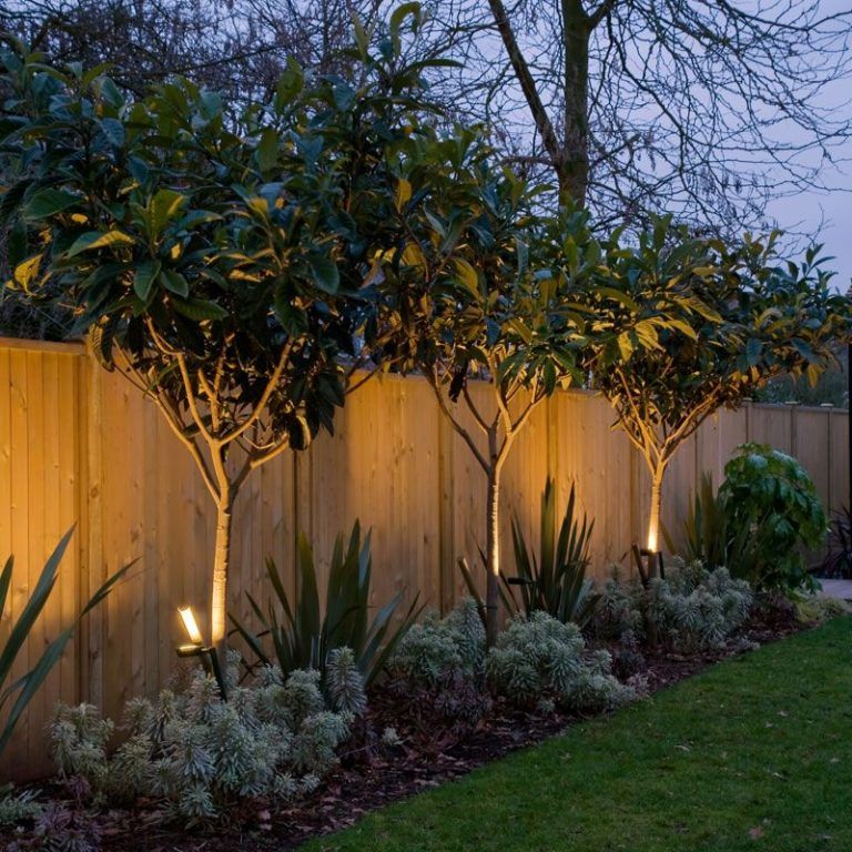 Create a Magical Outdoor Space with Stunning Backyard Lighting