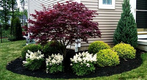 Create a Stunning Front Yard Landscape with These Ideas