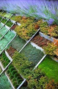Create a Stunning Garden Design on a Sloped Landscape