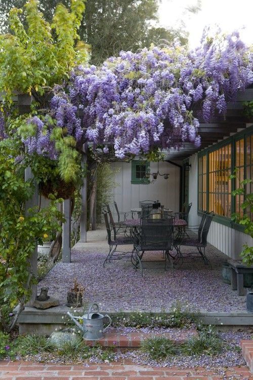 Create a beautiful outdoor oasis with a flourishing patio garden