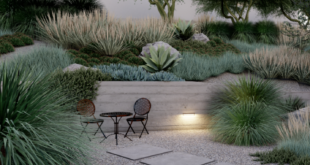 landscape garden design