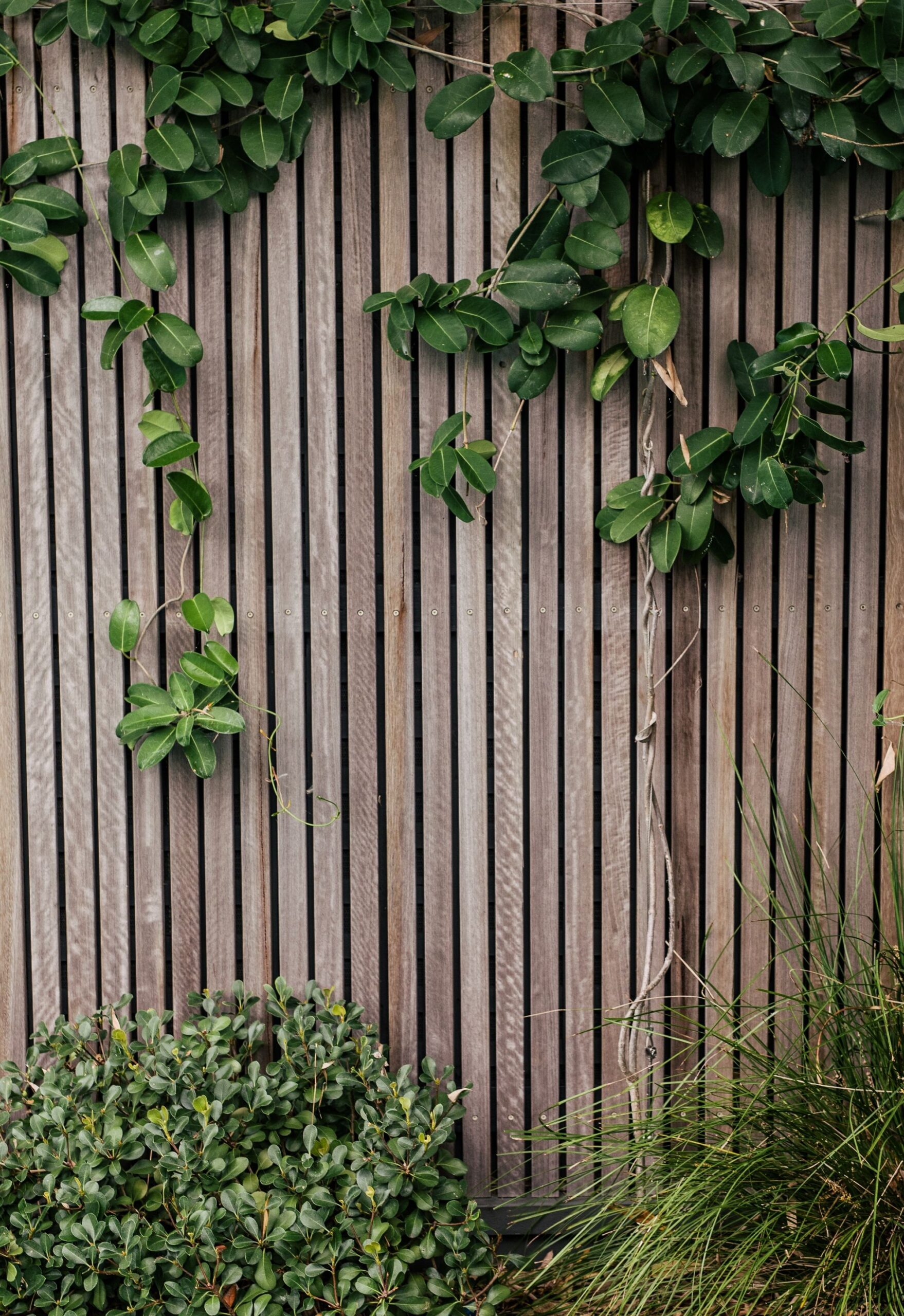 Creating Boundaries: The Beauty and Functionality of Backyard Fences