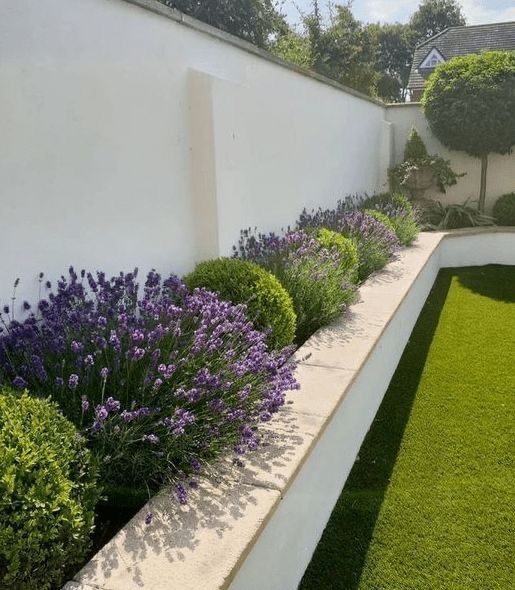 Creating Charming Boundaries for Your Garden: The Art of Small Edging