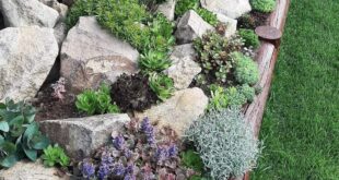 rock flower beds