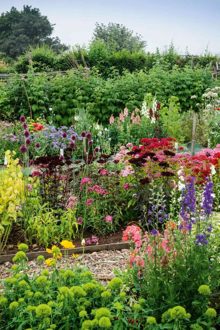 Creating Harmonious Flower Garden Designs: A Guide to Layouts