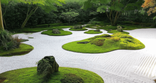 zen garden design