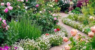 flower garden designs
