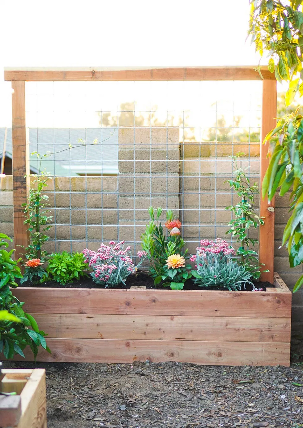 Creating Your Own Garden Planter Boxes: A Fun DIY Project