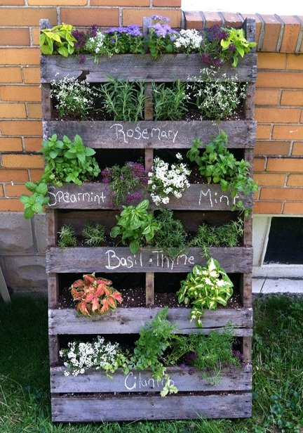 Creating Your Own Herb Garden Planter: A Fun DIY Project