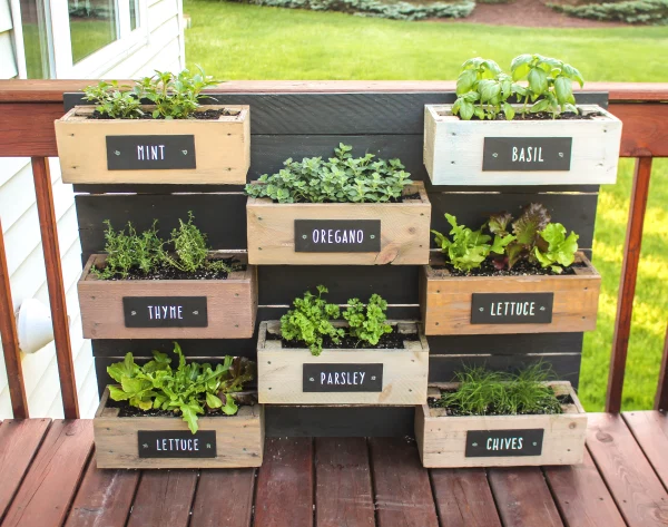 Creating Your Own Herb Garden Planter: A Step-by-Step Guide