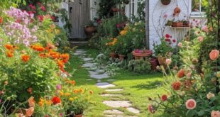 cottage garden ideas