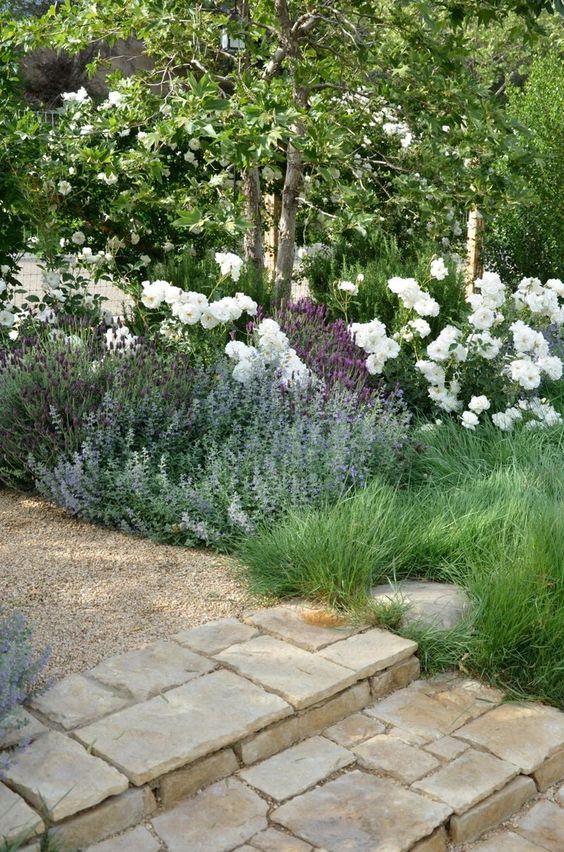 Creating a Beautiful Front Yard: A Source of Inspiration