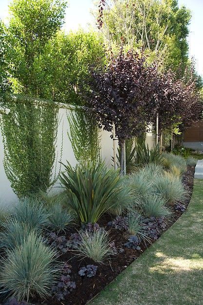 Creating a Beautiful Front Yard Landscape