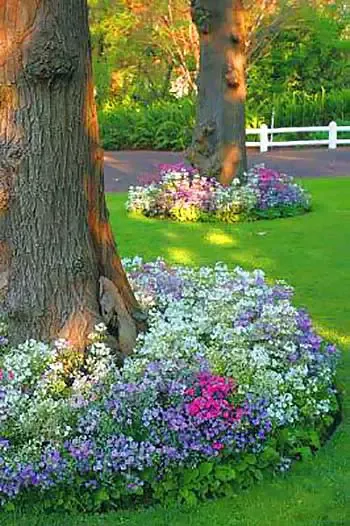 Creating a Beautiful Garden Around Your Trees
