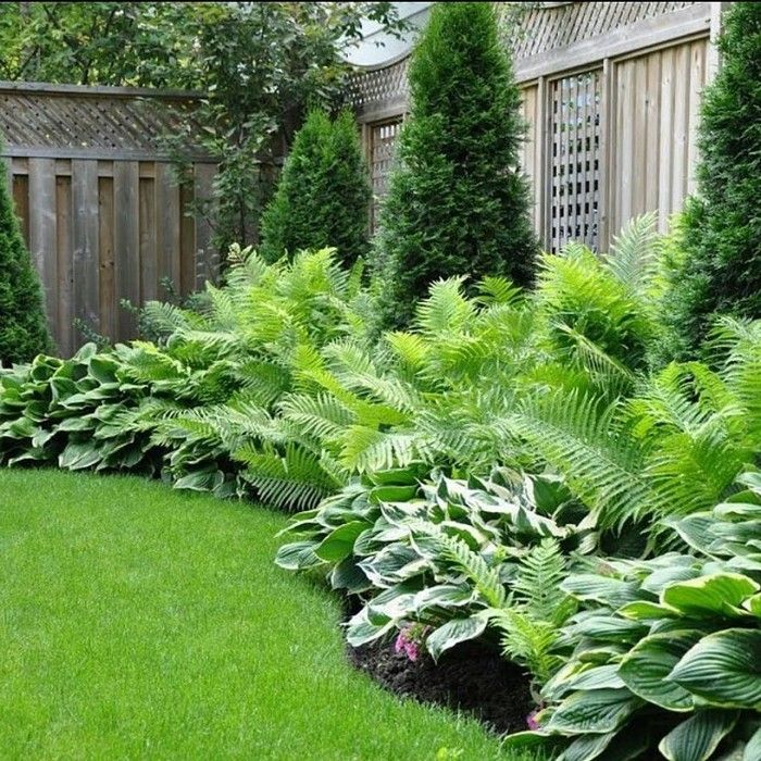 Creating a Beautiful Garden Beneath the Shade of Trees