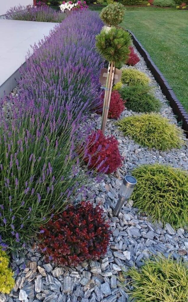 garden design under trees