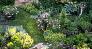 garden design slope