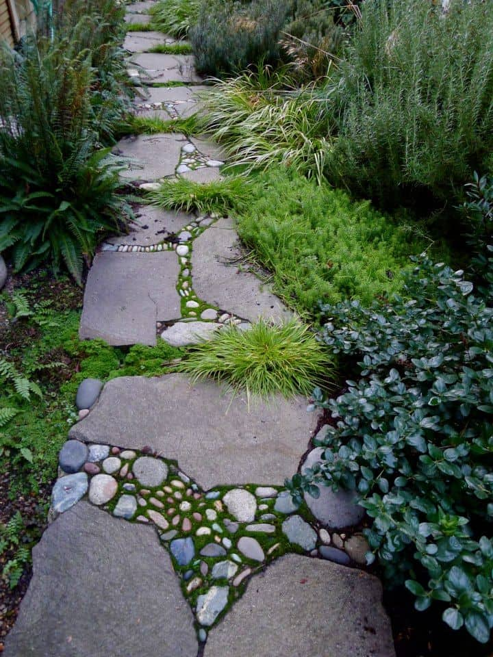 Creating a Beautiful Garden Pathway: A Guide to Enhancing Your Outdoor Space