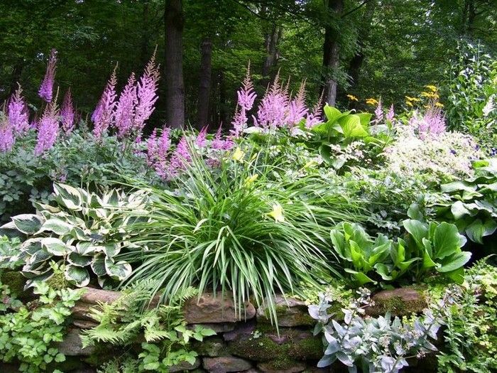 garden design under trees