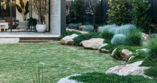 garden design with rocks