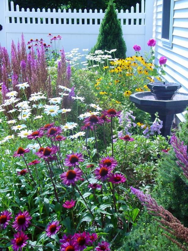 Creating a Beautiful Garden with a Variety of Blooming Flowers
