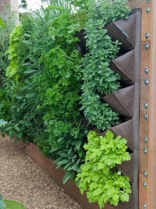 Creating a Beautiful Garden with a Vertical Planting System