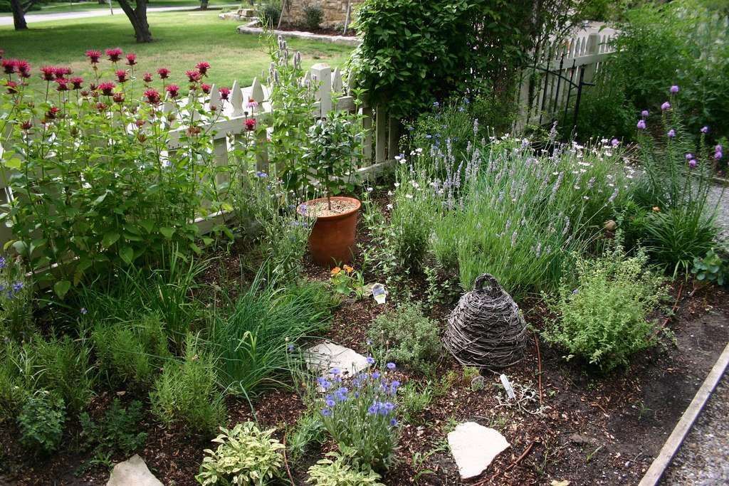 Creating a Beautiful Herb Garden Design