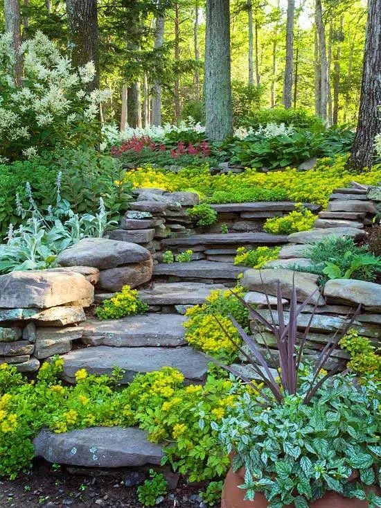 Creating a Beautiful Landscape on a Steep Front Yard