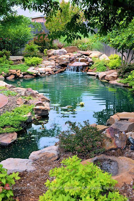Creating a Beautiful Oasis in Your Backyard: The Art of Garden Ponds