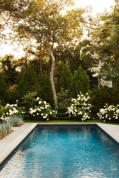 Creating a Beautiful Outdoor Oasis: Pool Landscaping Tips