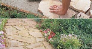 landscaping diy