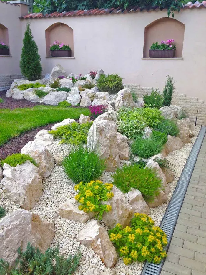 Creating a Beautiful Rock Garden: A Guide to Design and Care