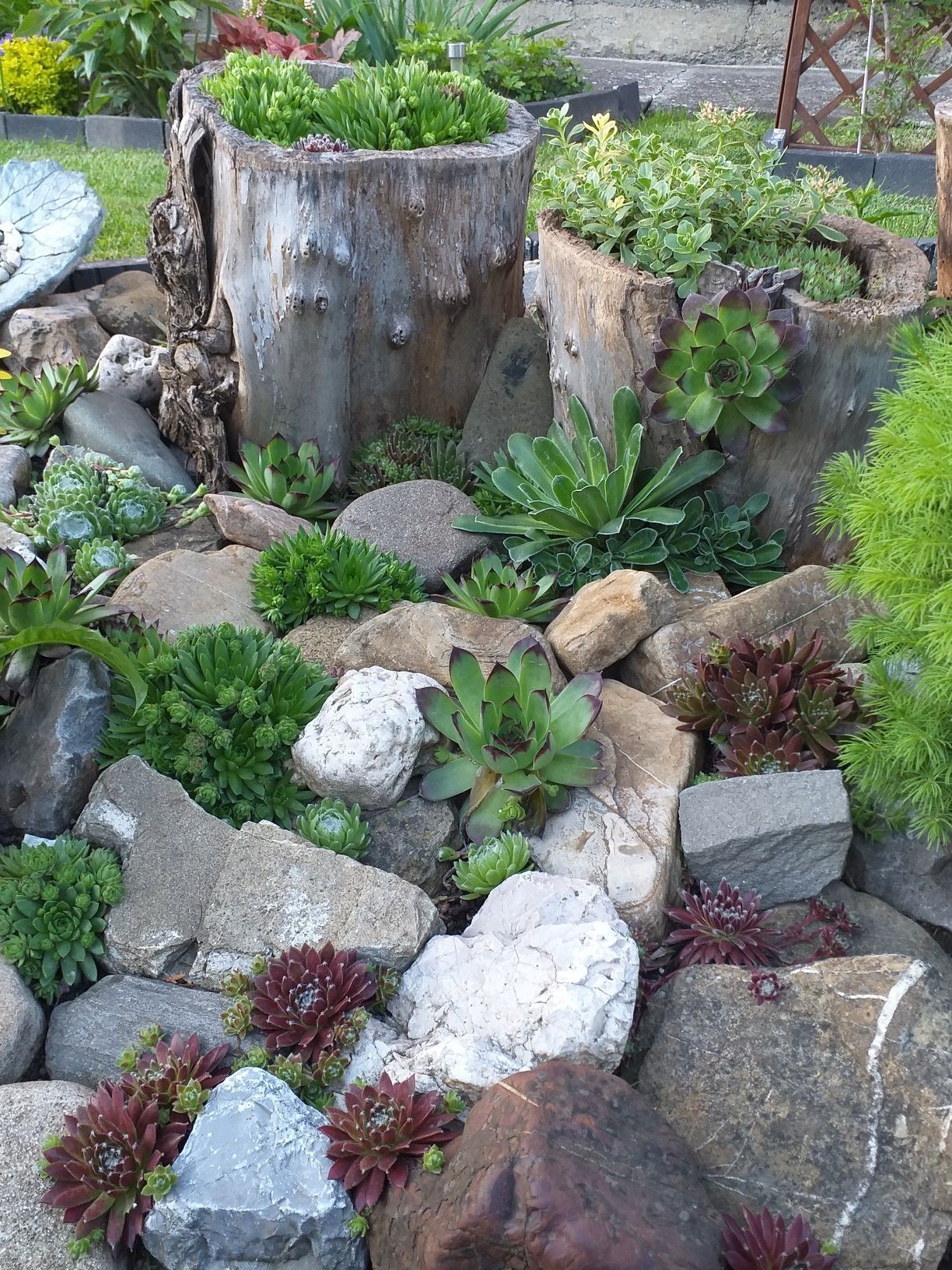 Creating a Beautiful Rockery Garden with Small Stones