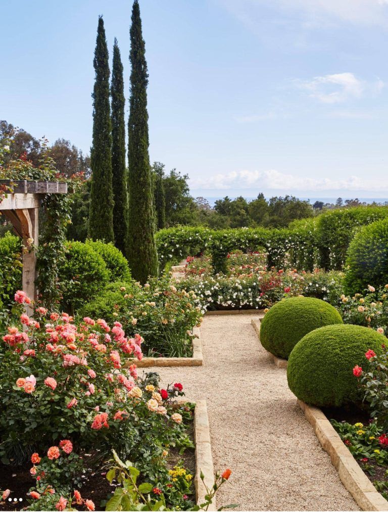 Creating a Beautiful Rose Garden: Tips for Design and Maintenance