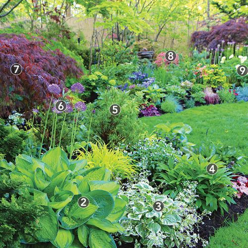 Creating a Beautiful Shade Garden: A Guide to Design and Plant Selection