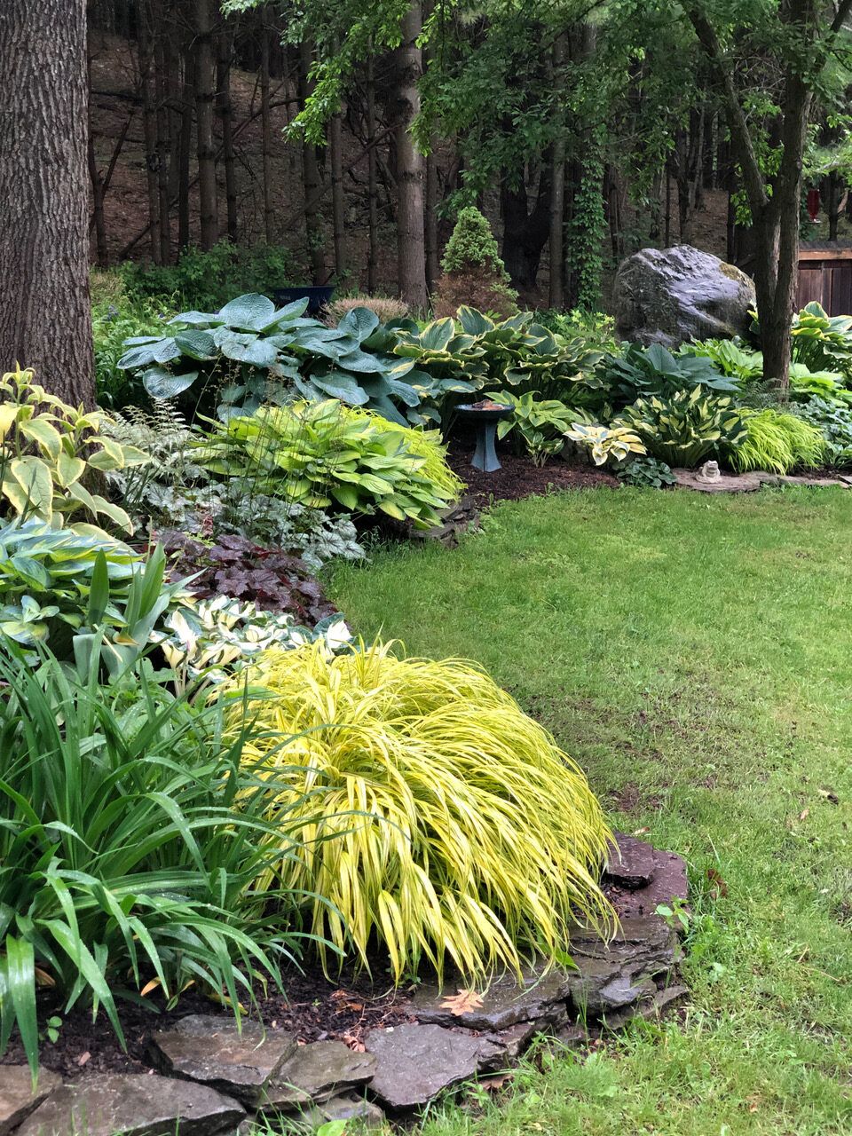 Creating a Beautiful Shade Garden: Design Tips for a Lush and Tranquil Outdoor Space